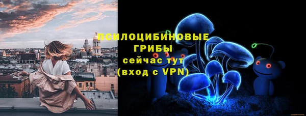 ГАЛЛЮЦИНОГЕННЫЕ ГРИБЫ Богородск