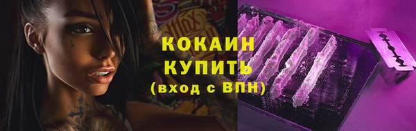 мяу мяу мука Богданович
