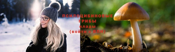 ГАЛЛЮЦИНОГЕННЫЕ ГРИБЫ Богородск