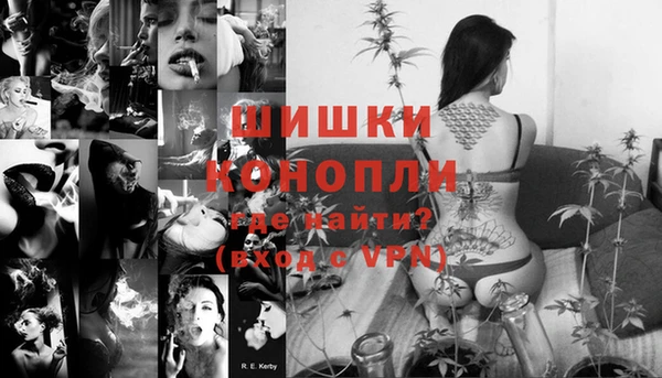 прущие грибы Сосновоборск