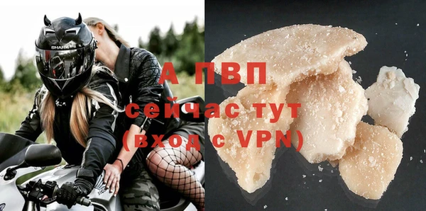 мяу мяу мука Богданович