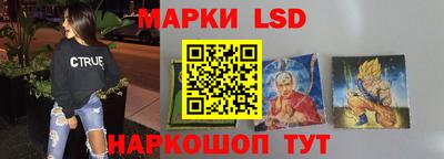 PSILOCYBIN Заводоуковск