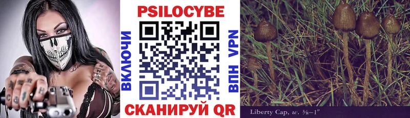 Галлюциногенные грибы MAGIC MUSHROOMS  кракен сайт  Наро-Фоминск  даркнет сайт 